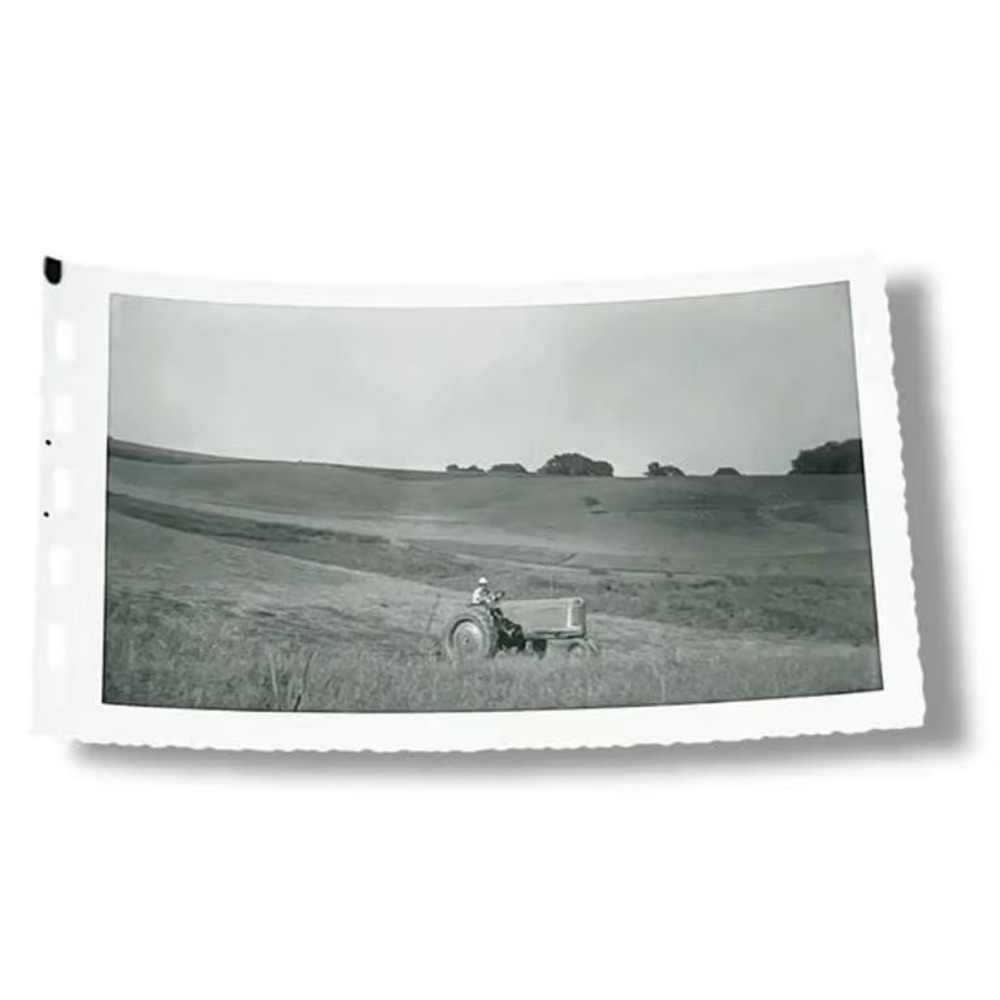 Farmer on Tractor in Field Midwest Vintage Found Photo EBX